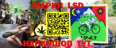 прущие грибы Мариинск