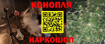 прущие грибы Мариинск