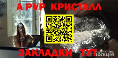 прущие грибы Мариинск