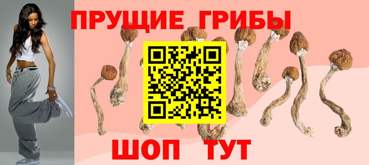 Псилоцибиновые грибы GOLDEN TEACHER Ярцево